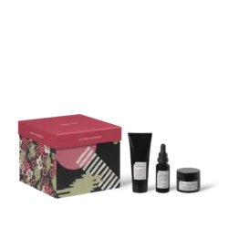 THE REGENERATION CITY